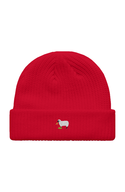 Fisherman Beanie